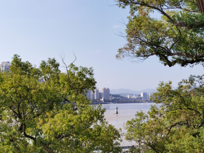 瓯江远眺