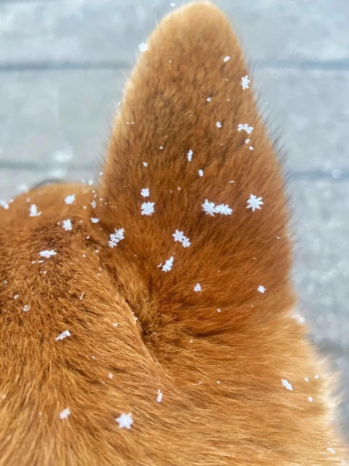 图源：小布的朋友圈