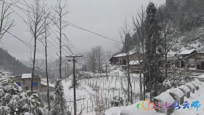 图源：七彩云端