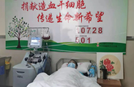  ▲造血干细胞分离采集中。受访者供图