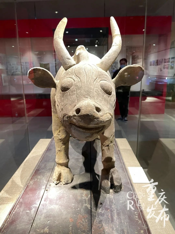 重庆江北出土的东汉时期“陶牛”。邹乐 摄