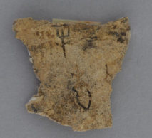 有“牛”与“牢”字甲骨残片，商代。重庆中国三峡博物馆供图