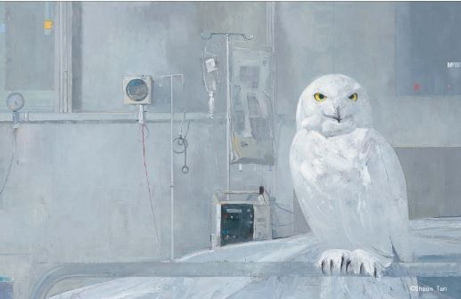 《内城故事》插图：病房里的猫头鹰。