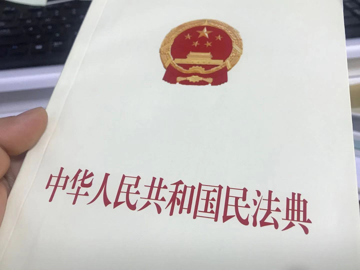 《中华人民共和国民法典》。王珊珊 摄