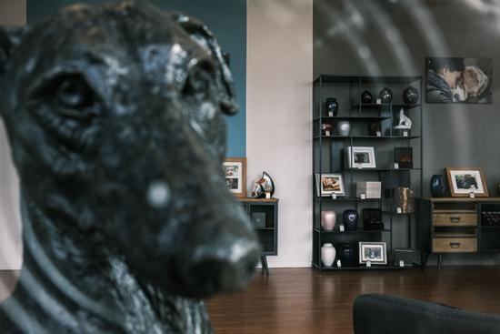 当地时间2020年10月26日，法国“首家”宠物葬礼机构。视觉中国供图 