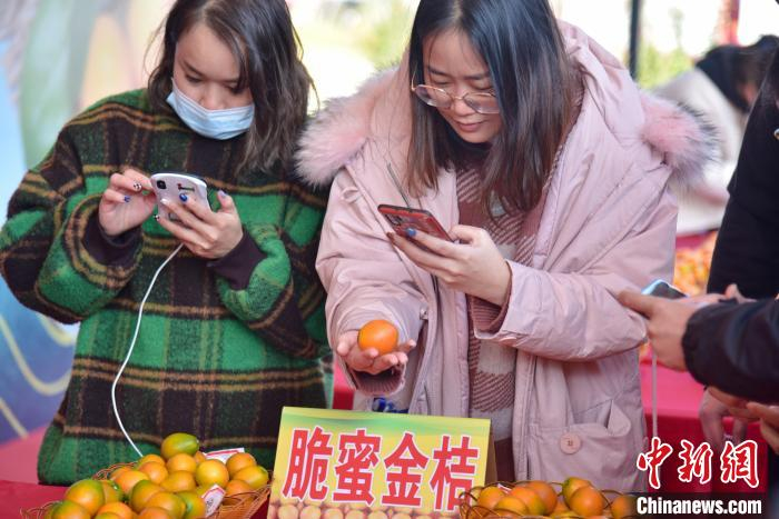 观众把金桔放在手心拍照分享。　王以照 摄