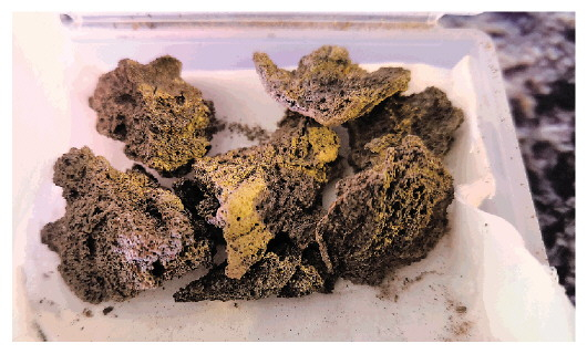 这是河南省荥阳市汪沟遗址出土的炭化丝织品。新华社资料片