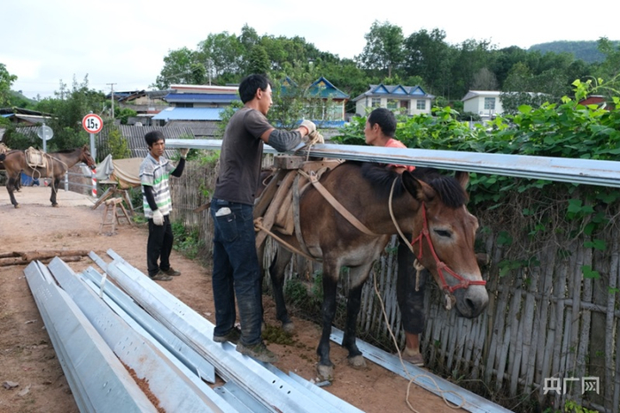 中老铁路云南西双版纳段施工现场用马运送塔材。（央广网发 周志旺摄）