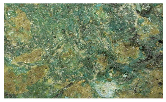 　　三星堆二号“祭祀坑”出土的青铜人头像局部上检测到的纺织物痕迹。新华社资料片