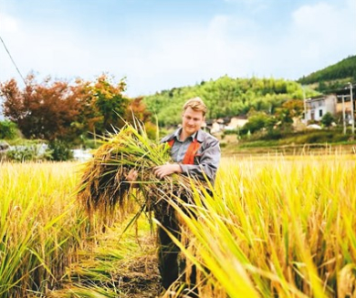 俄罗斯小伙子德米日在收稻谷