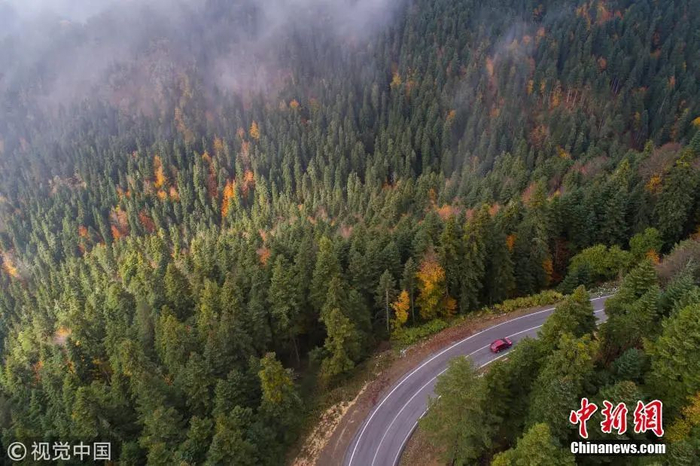 图片来源：视觉中国