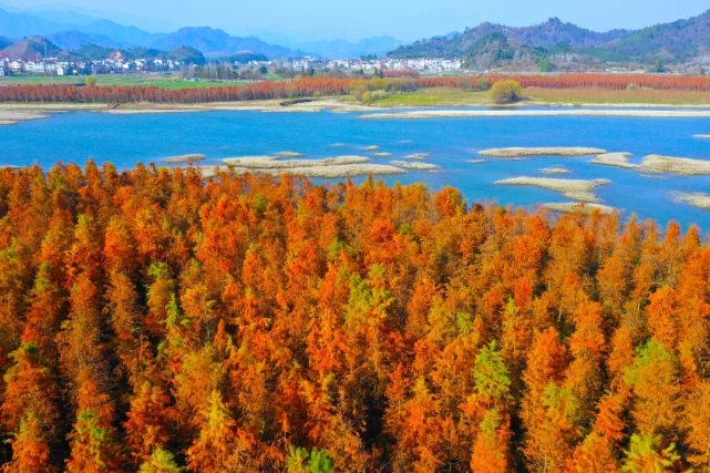 @千岛湖摄影协会/摄