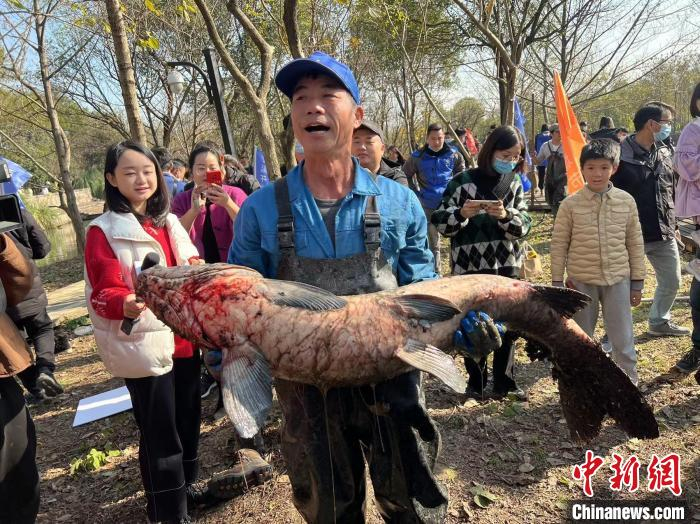 抓捕的重68斤的大鱼。　王题题 摄