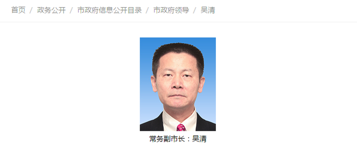 上海市政府官网截图