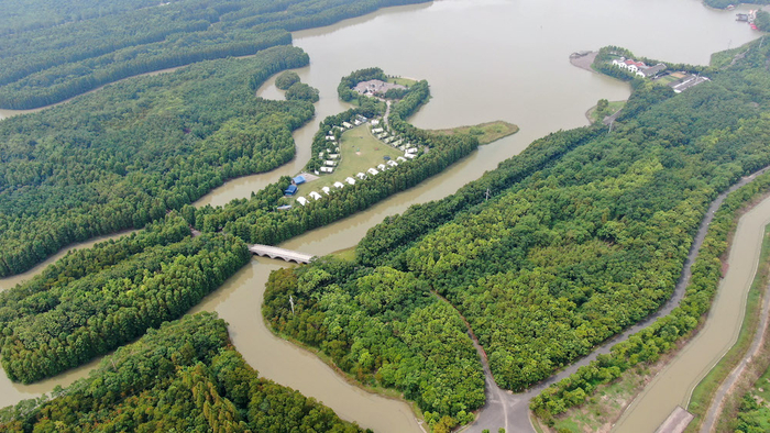 俯瞰上海海湾国家森林公园，这里是上海市最大的天然“绿肺”。   视觉中国 图