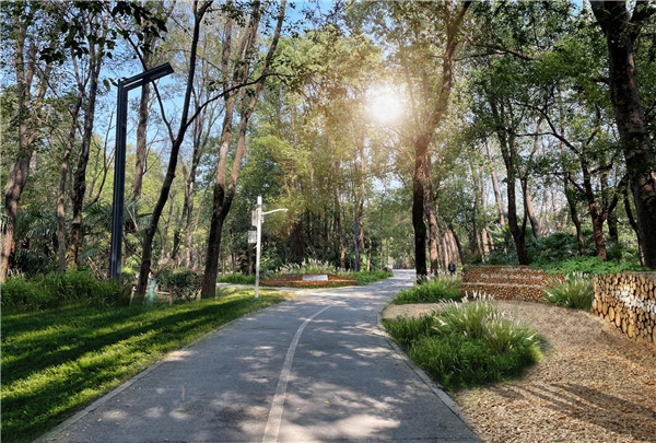 图说：设计效果图 采访对象提供