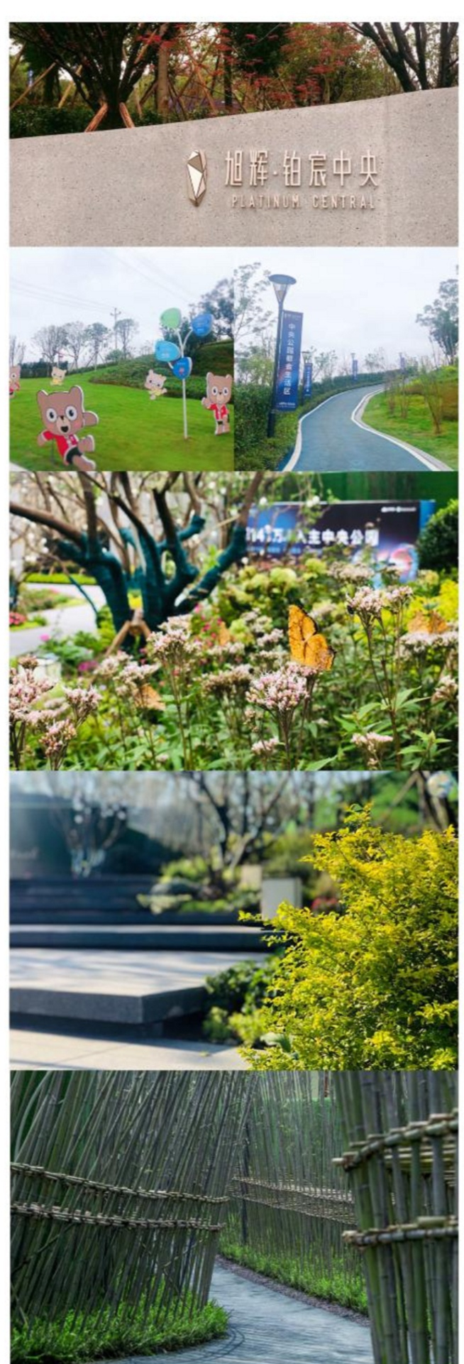 观音岩公园实拍（央广网发 旭辉供图）