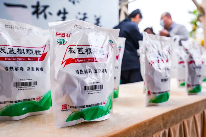 “时尚中药”白云山板蓝根。企业供图