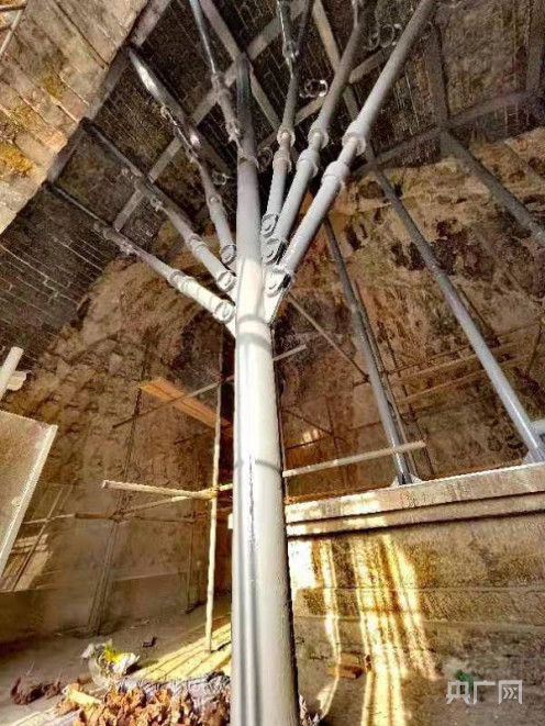 龙门石窟奉先寺再次启动大型保护工程（央广网发 张亚光摄）