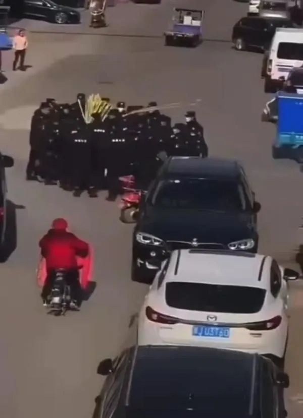 相关视频截图