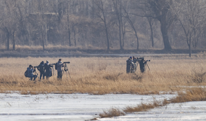 12月5日，野鸭湖，市民用长焦镜头拍摄鸟类。新京报记者 陶冉 摄。