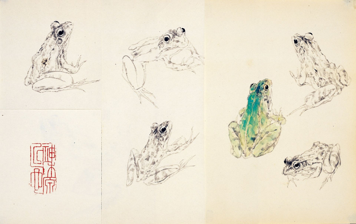 王子武的青蛙写生