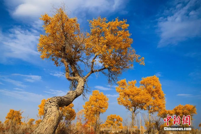 资料图 年磊 摄