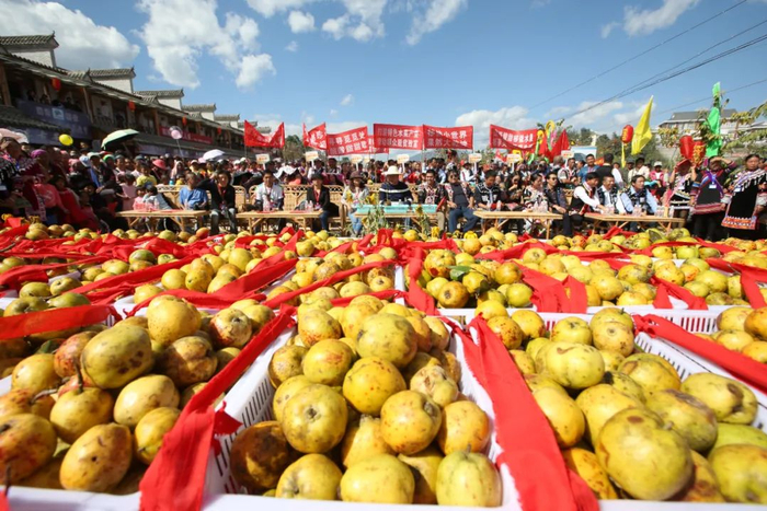 △糯扎渡镇栘依果