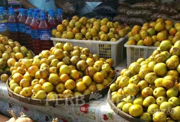 △糯扎渡镇栘依果