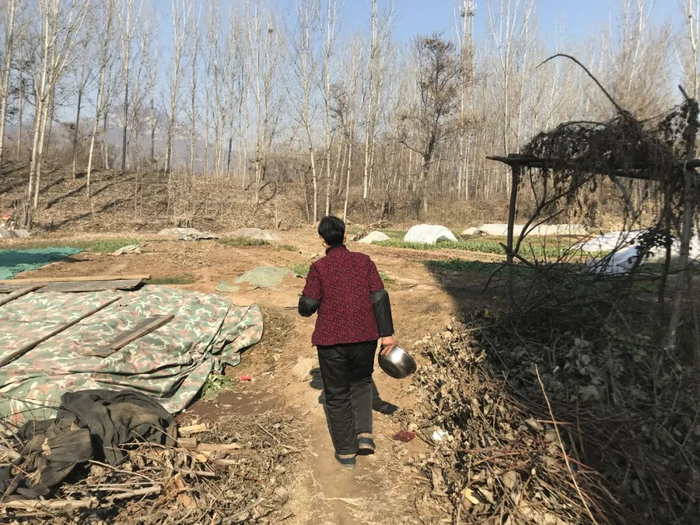 2020年12月27日，奶奶赵小兰。新京报记者 张惠兰 摄