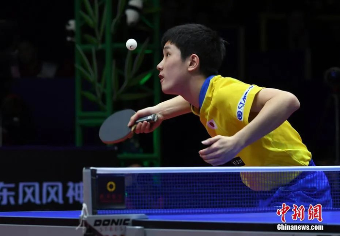 张本智和在比赛中。安源 摄