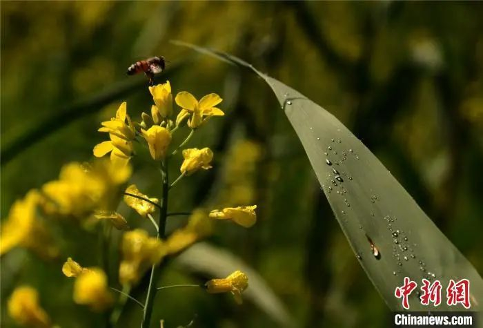 资料图：图文无关。王琳 摄