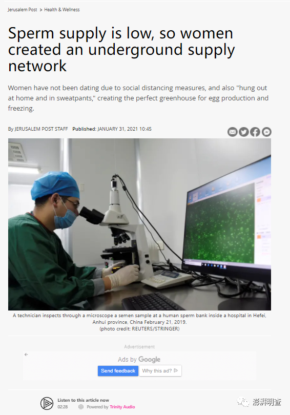 “由于精子供应量低，女性创建了一个地下供应网络”