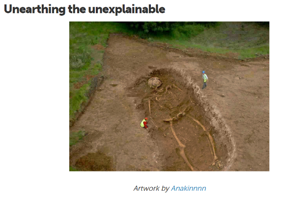 “发掘不可解释之物。Anakinnnn作品”