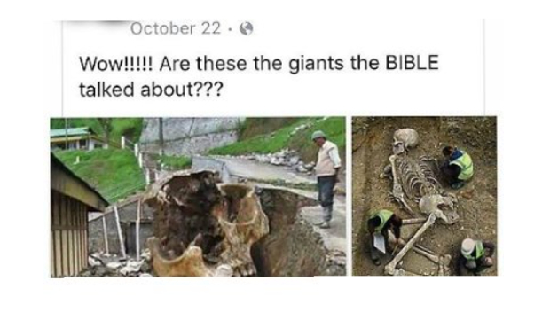 “哇！！！这些就是圣经里提到的那些巨人吗？”