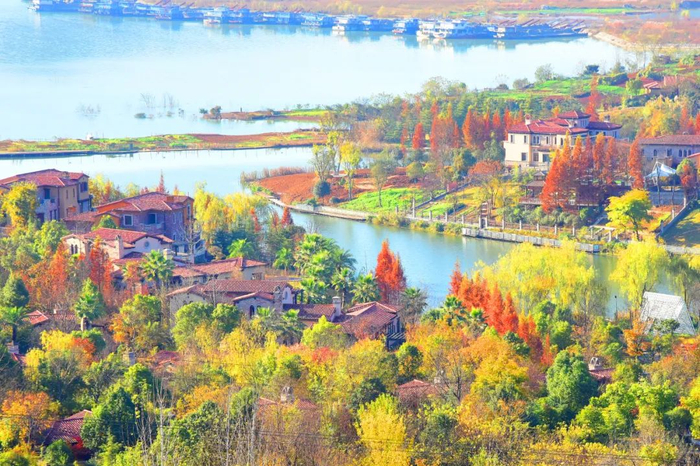 近年来，南水北调中线水源区郧阳大力开展“生态乡村”“美丽村落”生态建设，加大植树造林力度，栽植风景林。图为2021年11月24日，湖北省十堰市郧阳岛初冬美如画。人民图片网供图