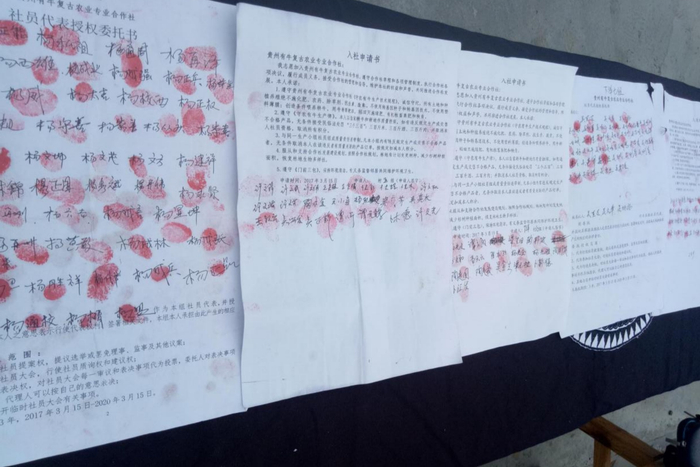 加入合作社的社员需签署入社申请（央广网发 受访者供图）