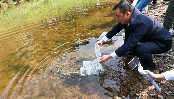 图⑤:雅安市雨城区检察院检察长陶涛放生雅鱼鱼苗