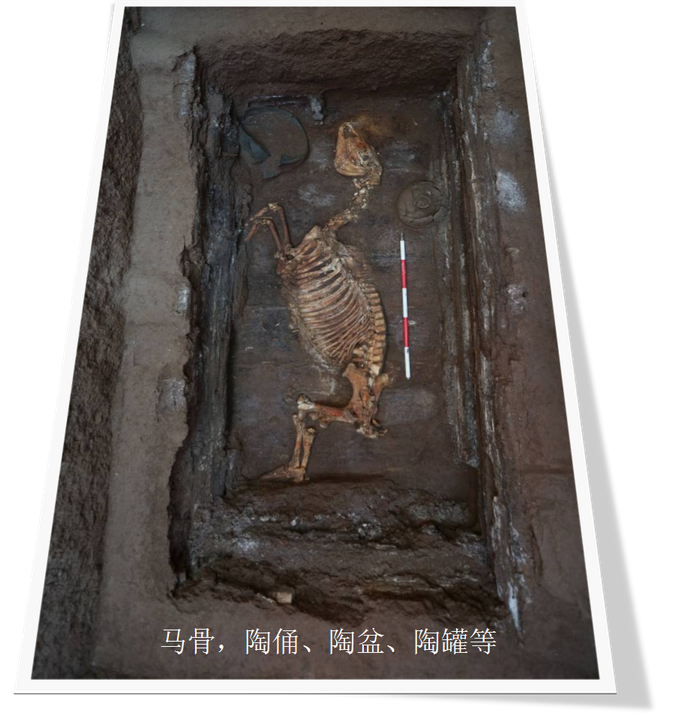 江村大墓外藏坑出土的马骨，陶俑、陶盆、陶罐等。国家文物局供图