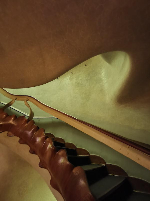 高迪，巴特略之家脊梯 1904-1906，摄影 马宁