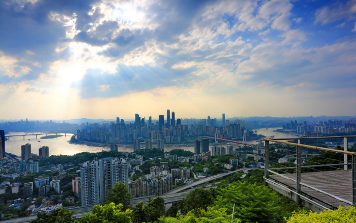 （图片来源：深圳市城市管理和综合执法局及钟子杰，部分来自网络）