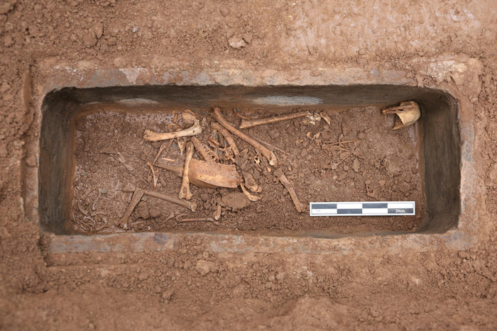 南陵小型外藏坑出土动物骨骸，初步鉴定其种类有金丝猴、丹顶鹤、乌龟等。图源：陕西省考古研究院