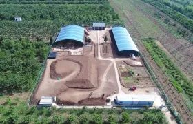 江村大墓1号发掘点（2019年5月15日摄）