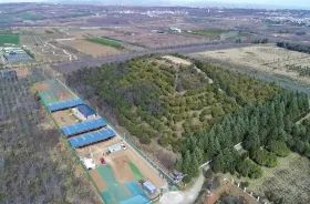 这是薄太后南陵发掘点（2019年3月14日摄）