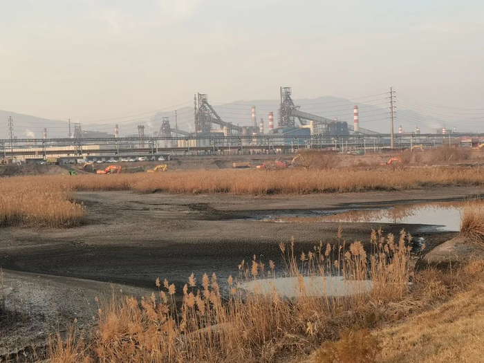 污水及周围大片干结龟裂的污泥  新华社记者 宋佳摄
