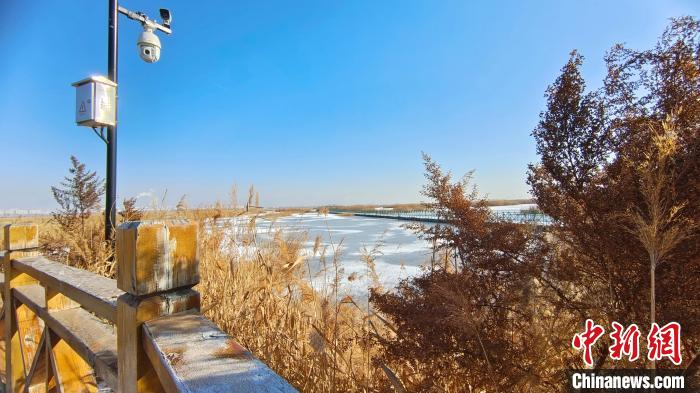 图为湿地内监控设备随处可见。　张林虎 摄