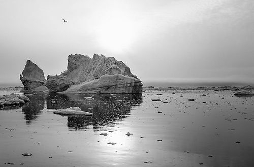 融化的海冰是北极放大效应的一个驱动因素（图片来源：HRAUN/iStock）