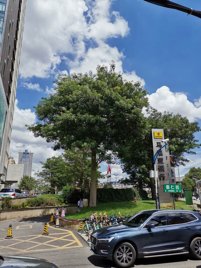 查阜西一家住过的崇仁街七十二号，大致可推定原址在招银大厦前的空地和绿化带上