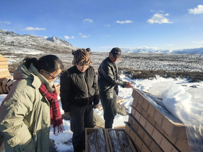 ▲11月29日，付小方与孙丽静在折多山上查看地质样本。新京报记者马延君摄。
