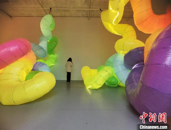 艺术家的作品。　唐小晴 摄